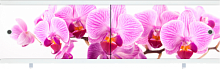 Экран под ванну СМИР 1,48 "Арт" дикая орхидея